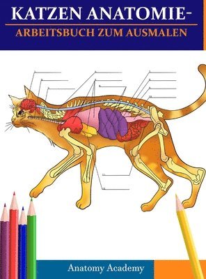 Katzen AnatomieArbeitsbuch zum Ausmalen 1