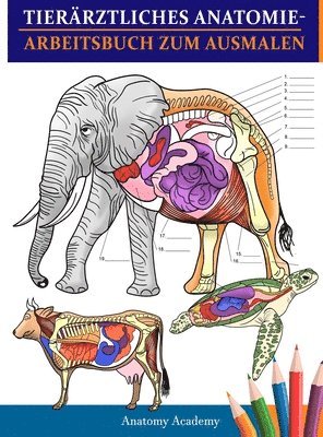 Anatomy Academy - Tierärztliches Anatomie-Arbeitsbuch zum Ausmalen, Inbunden