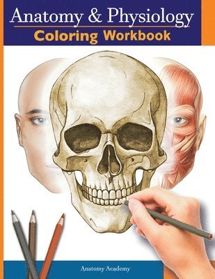 bokomslag Anatomy and Physiology Coloring Workbook