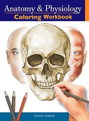 bokomslag Anatomy and Physiology Coloring Workbook