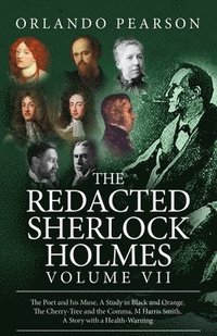 bokomslag Redacted Sherlock Holmes Volume VII