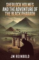 Jm Reinbold, JM Reinbold - Sherlock Holmes and the Adventure of The Black Pharaoh, Häftad