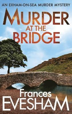 bokomslag Murder at the Bridge