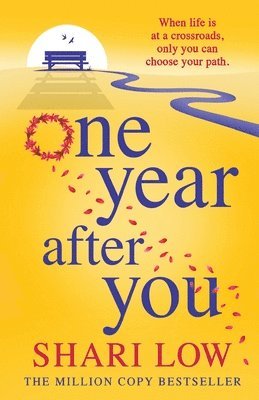 Shari Low - One Year After You, Häftad