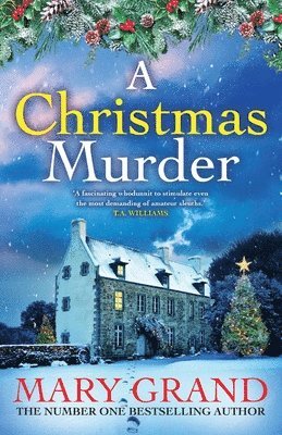 bokomslag Christmas Murder