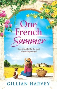 bokomslag One French Summer