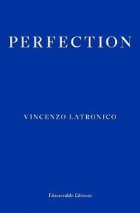 bokomslag Perfection
