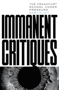 bokomslag Immanent Critiques
