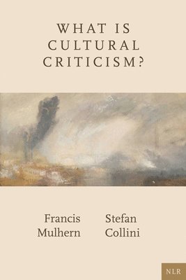 bokomslag What Is Cultural Criticism?