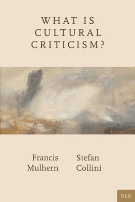 What Is Cultural Criticism? 1