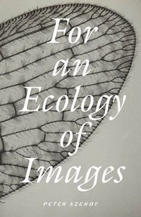bokomslag For an Ecology of Images