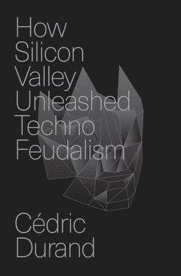 bokomslag How Silicon Valley Unleashed Techno-feudalism