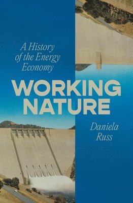 Daniela Russ - Working Nature, Häftad