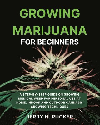 Growing Marijuana for Beginners 1