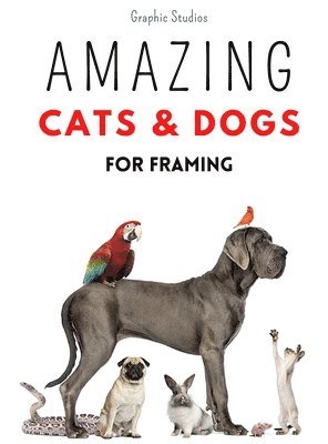 Amazing Cats and Dogs for Framing 1