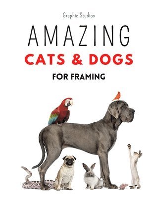 bokomslag Amazing Cats and Dogs for Framing