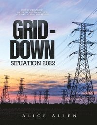 bokomslag Grid-Down Situation 2022