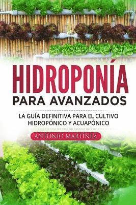 Hidroponía para avanzados