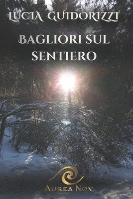 bokomslag Bagliori sul sentiero