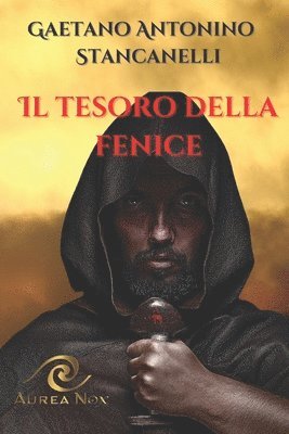 Gaetano Antonino Stancanelli - tesoro della fenice, Häftad