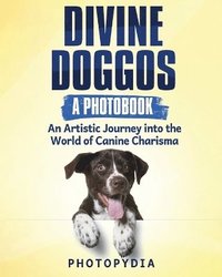 bokomslag Divine Doggos - A Photobook
