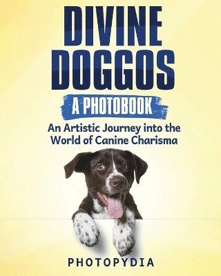 bokomslag Divine Doggos - A Photobook