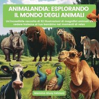 bokomslag Animalandia