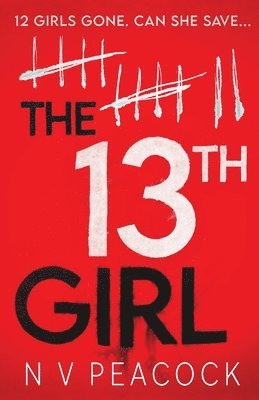 bokomslag The 13th Girl