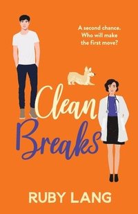 bokomslag Clean Breaks