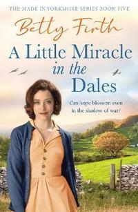 bokomslag Little Miracle in the Dales