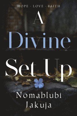 bokomslag Divine Set Up
