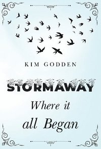 bokomslag Stormaway: Where it all Began