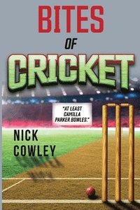 bokomslag Bites of Cricket