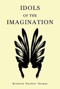 bokomslag Idols of the Imagination