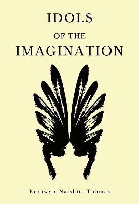 bokomslag Idols of the Imagination