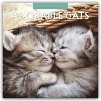 bokomslag Adorable Cats 2025 Square Wall Calendar