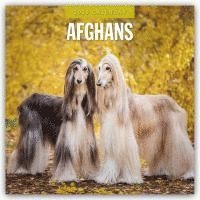 bokomslag Afghans 2025 Square Wall Calendar