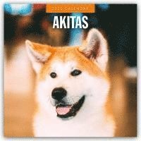 Red Robin, Robin Red - Akitas 2025 Square Wall Calendar, Häftad