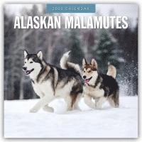 bokomslag Alaskan Malamutes 2025 Square Wall Calendar