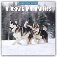 Red Robin, Robin Red - Alaskan Malamutes 2025 Square Wall Calendar, Häftad