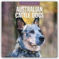 Australian Cattle Dogs 2025 Square Wall Calendar 1
