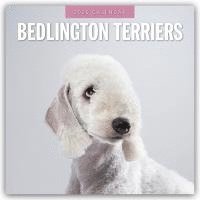 bokomslag Bedlington Terriers 2025 Square Wall Calendar