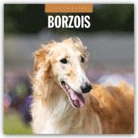 Borzois 2025 Square Wall Calendar 1