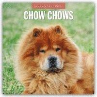 Red Robin, Robin Red - Chow Chows 2025 Square Wall Calendar, Häftad
