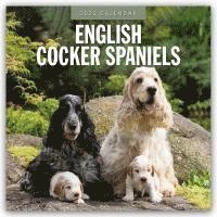 bokomslag English Cocker Spaniels 2025 Square Wall Calendar