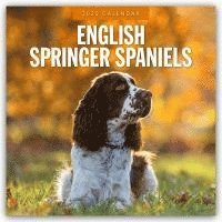 bokomslag English Springer Spaniels 2025 Square Wall Calendar