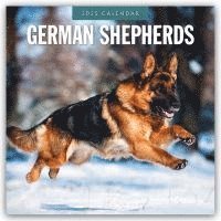 bokomslag German Shepherds 2025 Square Wall Calendar