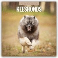 bokomslag Keeshonds 2025 Square Wall Calendar