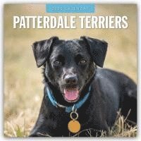 bokomslag Patterdale Terriers 2025 Square Wall Calendar