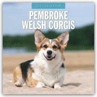 bokomslag Pembroke Welsh Corgis 2025 Square Wall Calendar